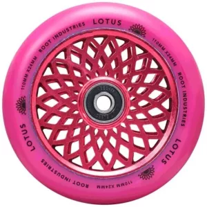 Koliesko Root Lotus 110 Radiant Pink